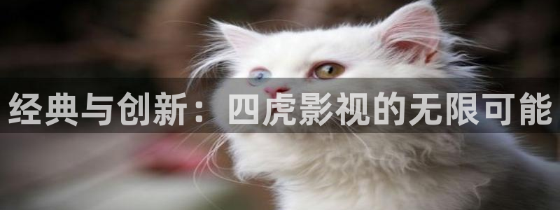 秋霞影院达达兔